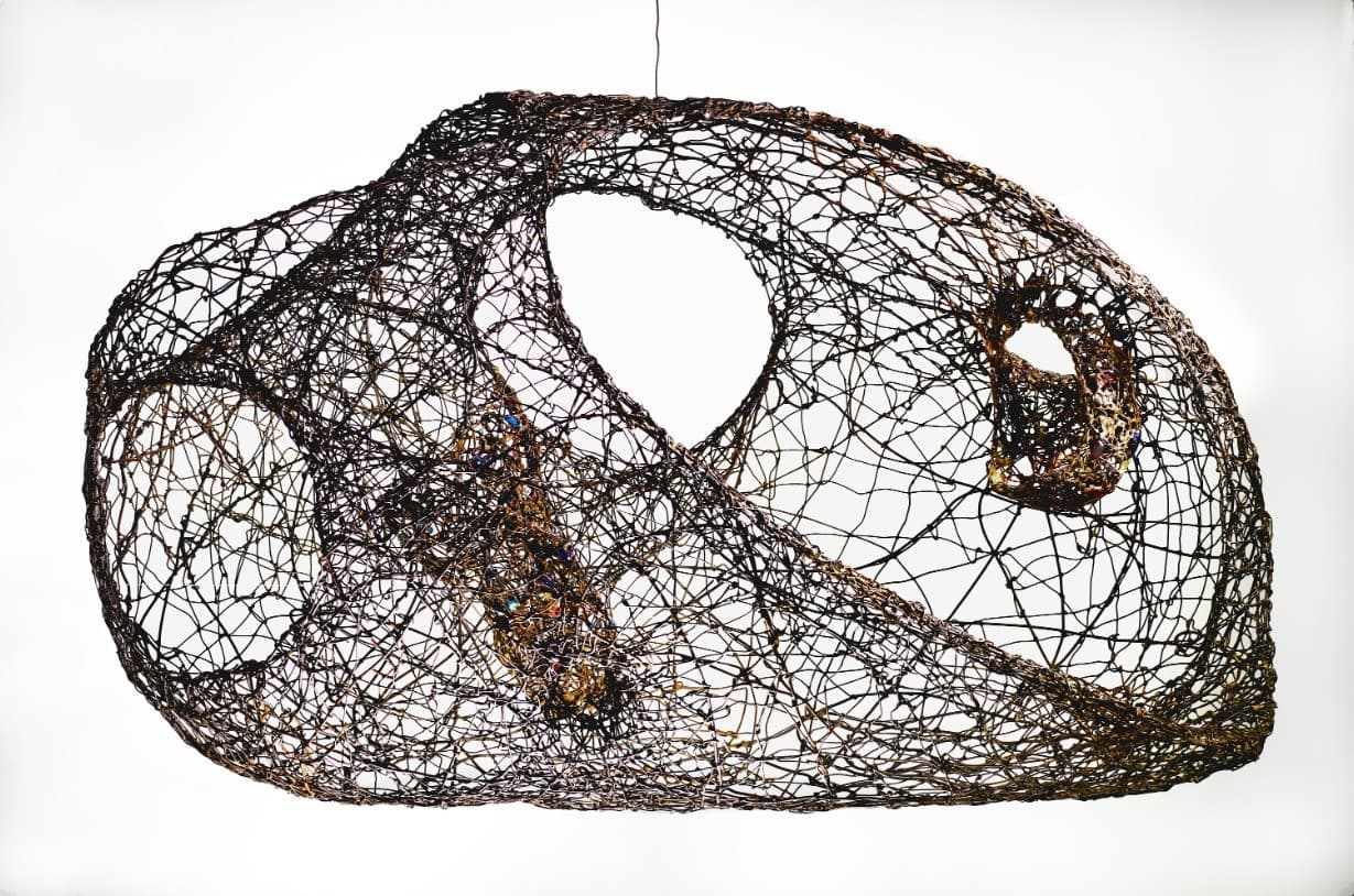 Tangled wire sculpture forming an abstract, hollow shape with looping curves, suspended against a plain white background.